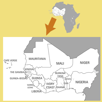 text area